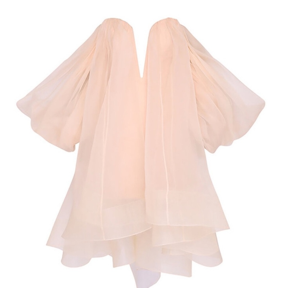 Zimmermann Crush strapless gathered silk-organza mini dress